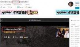 锤哥爆料杨荣荣视频播放,真相与争议并存